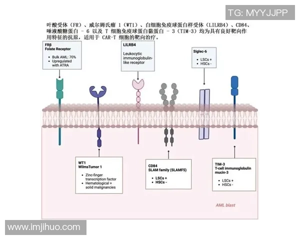 DOTA2热点分析：LNG战队转型背后的策略与挑战解读